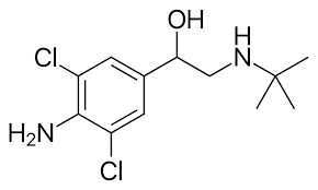 Clenbuterol Hol (Stiropent)